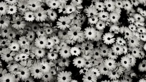 Black And White Photo Of A Bunch Of Flowers Wallpaper
