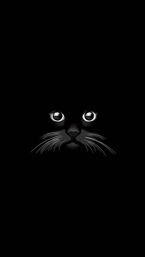 Black Cat On Samsung Device Wallpaper