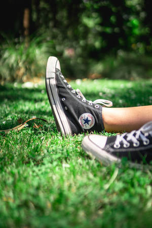 Black Converse In Fields Wallpaper