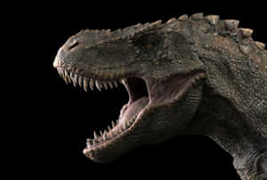 Black Dinosaur T-rex Close-up Wallpaper