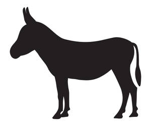 Black Donkey On White Wallpaper