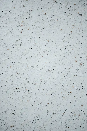 Black Dot Iphone Surface Specks Wallpaper
