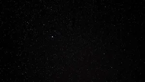 Black Glitter Tiny Stars Wallpaper