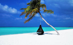 Black Hammock On White Beach Wallpaper