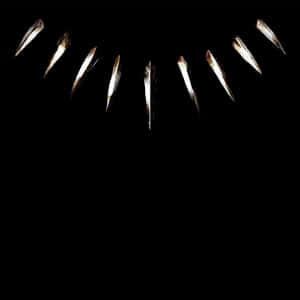 Black Ipad Claw Necklace Of The Black Panther Wallpaper