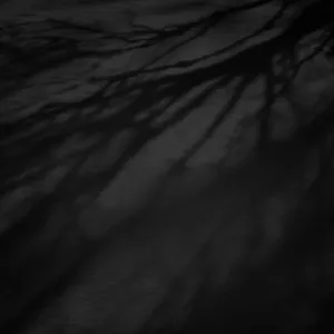Black Ipad With Tree Bark And Branches Wallpaper
