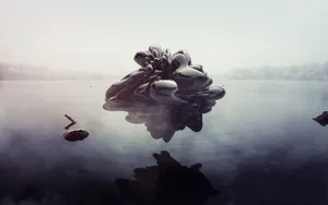 Black Mystery Nature Abstract Art Wallpaper