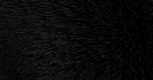 Black Needles Pc Wallpaper
