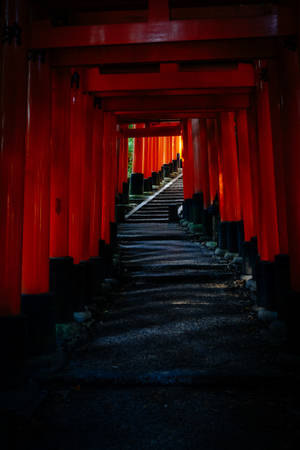 Black Red 4k Fushimi Inari Wallpaper