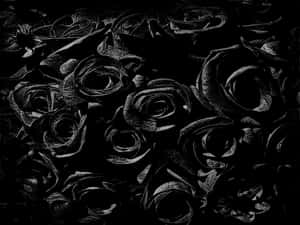 Black Rose Bouquet Aesthetic Wallpaper