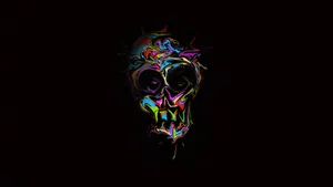 Black Skeleton Paint Color Wallpaper
