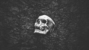 Black Skull Plain Wallpaper