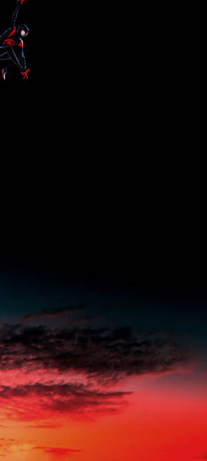 Black Spiderman Hanging By The Punch Hole Wallpaper