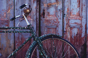 Black Spotted Bicycle Wallpaper