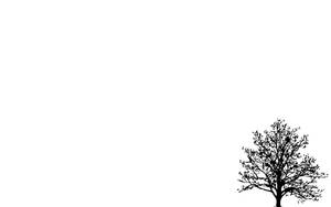 Black Tree White Background Wallpaper