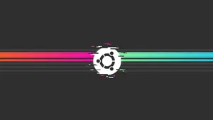 Black Ubuntu Glitch Hd Wallpaper