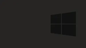 Black Windows 10 Hd On Gray Wallpaper