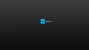Black Windows 10 Hd Simple Background Wallpaper