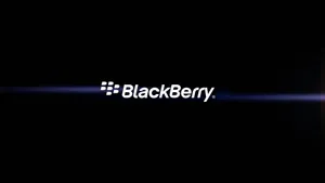 Blackberry Purple Line Wallpaper