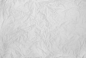 Blank Crumpled Paper Wallpaper
