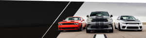 Blaze Your Own Trail In The Iconic Dodge Challenger Wallpaper