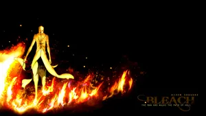 Bleach Anime Aizen Daini No Yugo Wallpaper