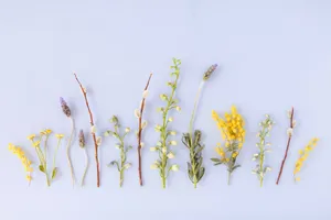 Blossoming Computer Innovation Wallpaper