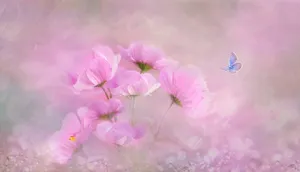 Blue And Cute Pink Butterfly With Flowers Wallpaper