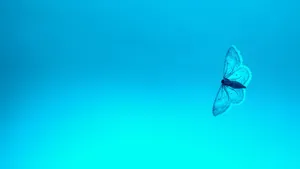 Blue Butterfly Aesthetic Art Wallpaper