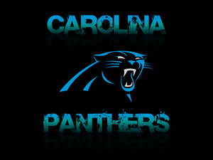 Blue Carolina Panthers Text Wallpaper