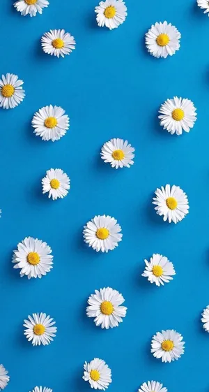 Blue Daisy Phone Wallpaper