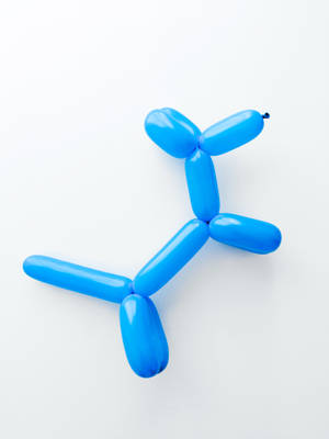 Blue Dog Toy Balloon Wallpaper