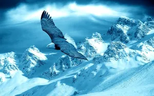 Blue Eagle Wallpaper