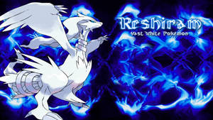 Blue Fire Reshiram Wallpaper