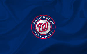 Blue Flag Washington Nationals Wallpaper