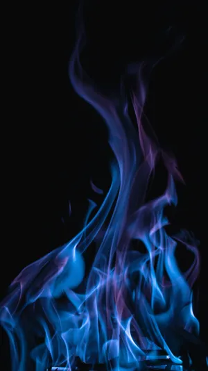 Blue Flames Fire Pfp Wallpaper