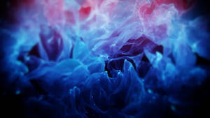 Blue Flames Roses Wallpaper