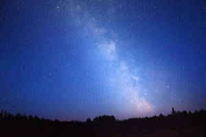 Blue Galaxy Milky Way Above Trees Wallpaper