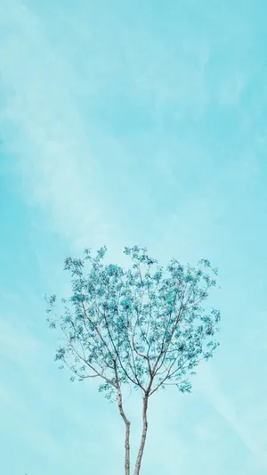Blue Pastel Aesthetic Lone Tree Wallpaper