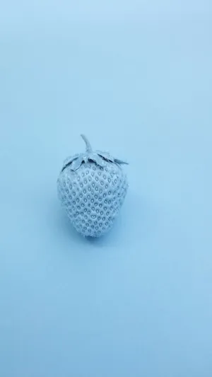 Blue Strawberry Light Blue Aesthetic Iphone Wallpaper