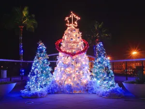 Blue Tree Christmas Lights Deck Wallpaper