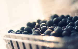 Blueberries In A Tray Wallpaper