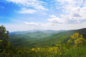 Bluff Mountain North Carolina Wallpaper