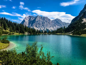 Bluish Green Lake With Trees Wallpaper