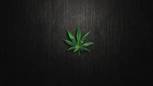 Blunt Weed Plant On Dark Wood Background Wallpaper