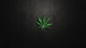 Blunt Weed Plant On Dark Wood Background Wallpaper