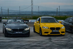 Bmw Cars At Racing Track Wallpaper