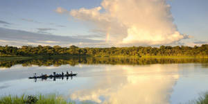 Boat Sailing On Amazonas Waters Wallpaper