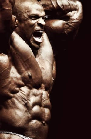Bodybuilder Coleman Hd Wallpaper