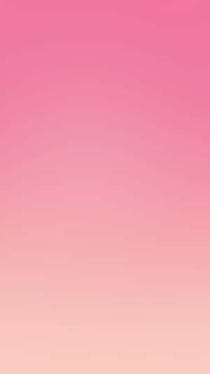 Bold And Beautiful Pink Wallpaper